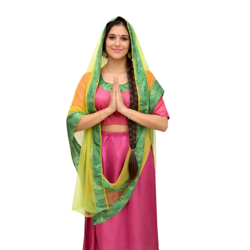 Disfraz de Mujer Hindú Adulto – Traje de Lujo con Terciopelo y Brocados - Imagen 5