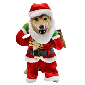 Disfraz de Papá Noel para mascotas con mono y gorro con barba