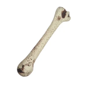 Hueso Femur Cavernicola