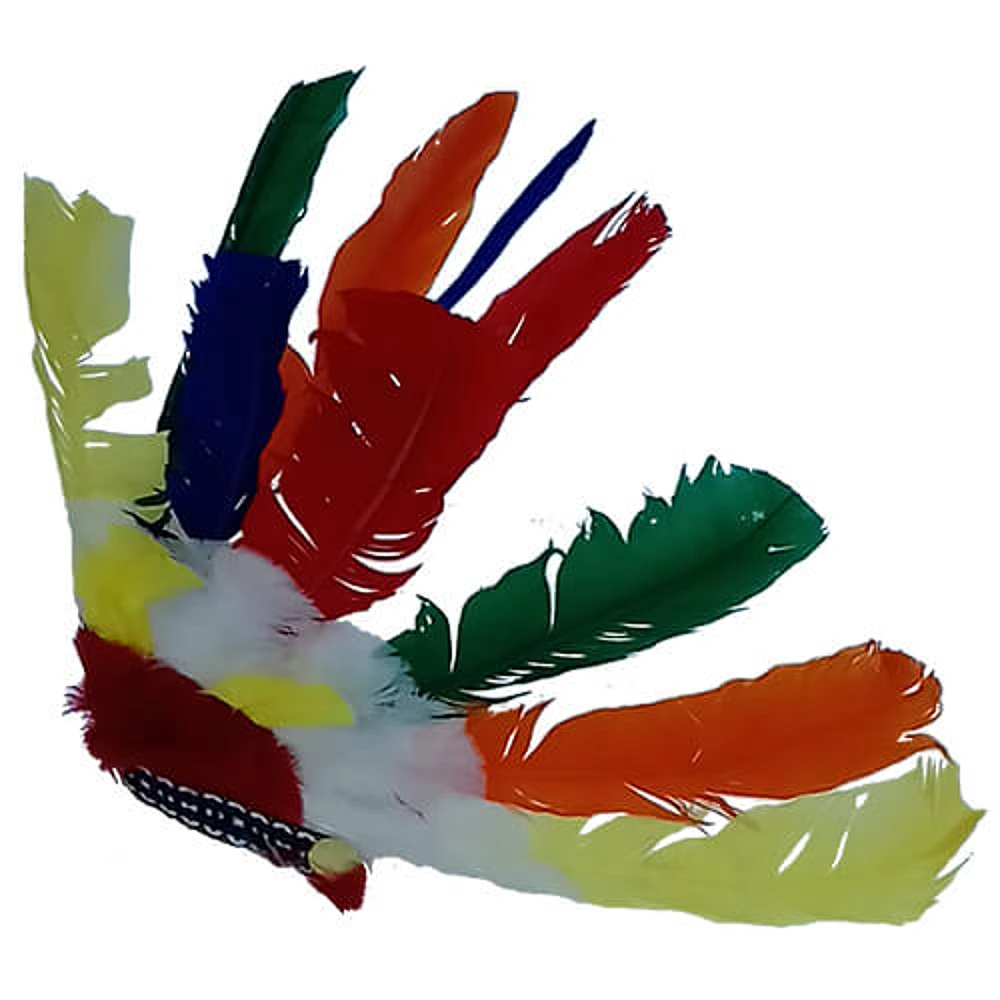 Penacho Indio Plumas